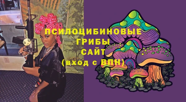 метадон Алексин
