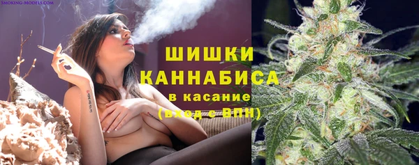 2c-b Алзамай