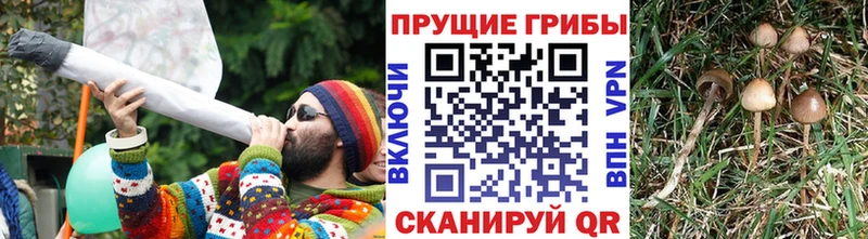 Псилоцибиновые грибы мухоморы  Отрадная 